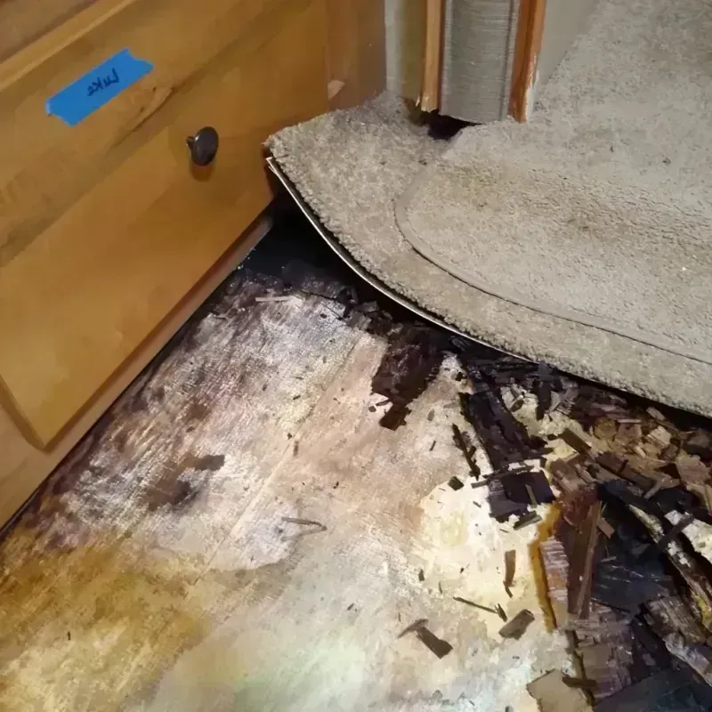 Wood Floor Water Damage in Prospect Park, NJ